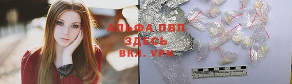 таблы Новодвинск
