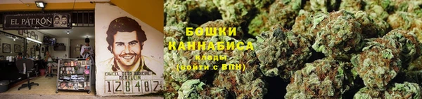 гидра Надым