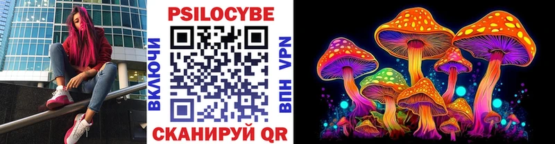 Галлюциногенные грибы мицелий  где найти наркотики  Кольчугино 