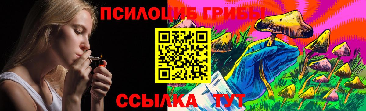 Кольчугино  Галлюциногенные грибы MAGIC MUSHROOMS  Вход с VPN  Галлюциногенные грибы Psilocybe 